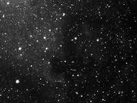 DMK mit Pentax 110 - NGC7000 Nordamerika
