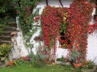 Hinterhof in Eschelbronn im Herbst