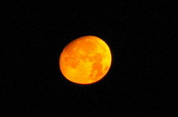 orangener Mond,orange Moon