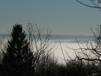 Nebel im Neckartal