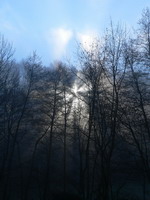 Nebel und Sonnenstrahlen im Neckartal