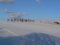 Felder im Schnee bei Steinsfurt