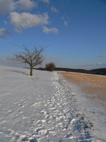 Fußspuren im Schnee bei Steinsfurt