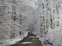 Feldweg im Winter bei Daisbach