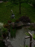 Regen im Gartenteich